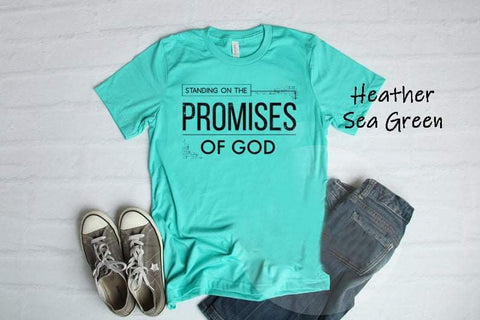 #722... Standing on the promises of God. Ships 5/22